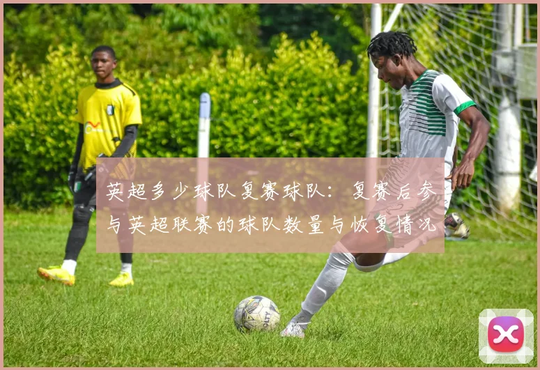 英超多少球队复赛球队：复赛后参与英超联赛的球队数量与恢复情况